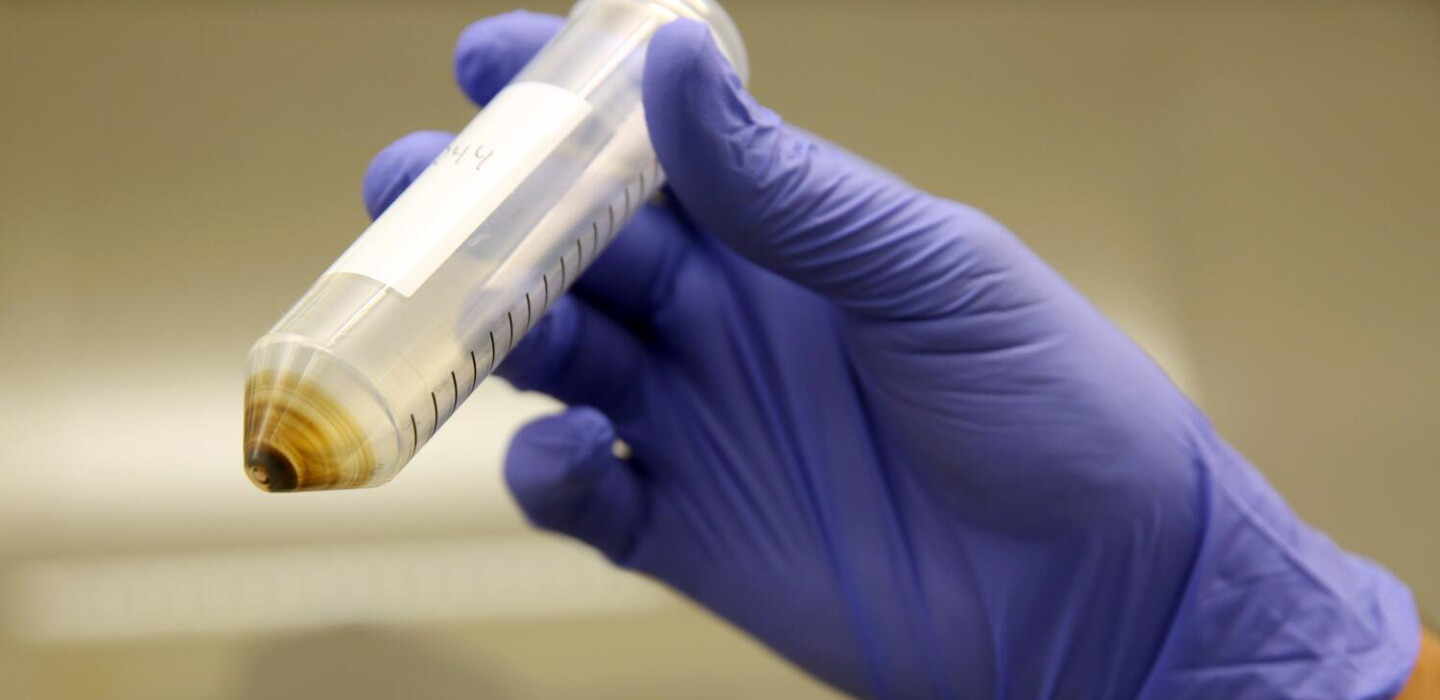Map: PFAS Legislation Is on the Table in These States