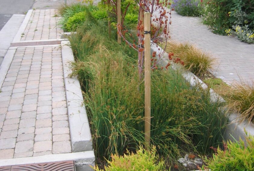 green-infrastructure-stormwater-planter.jpg