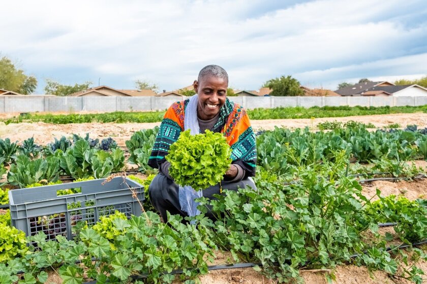 Bridget Pettis, Project Roots Co-Founder, in the garden with lettuce