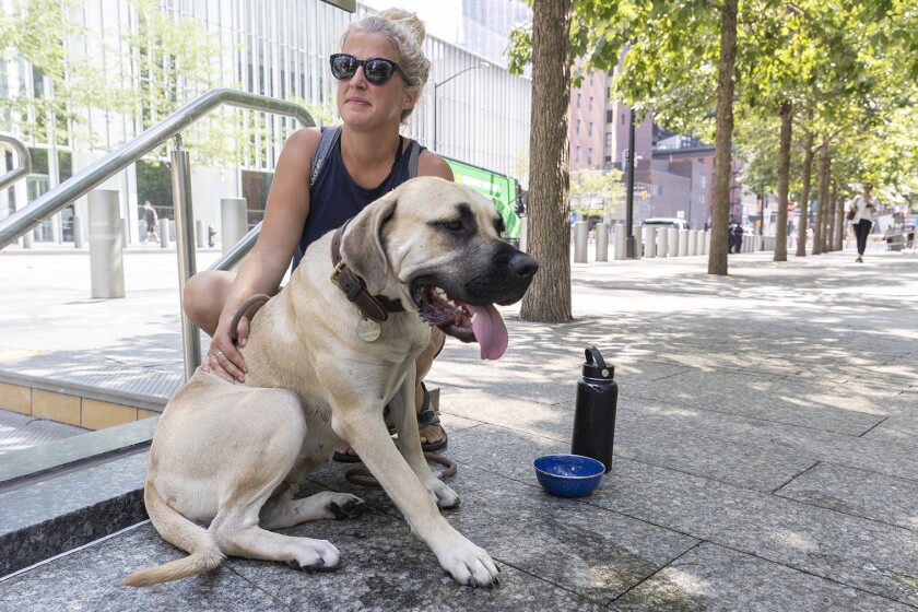 Teacher and Dog 063a.jpg