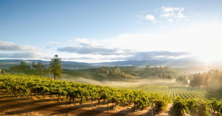 Sonoma County California.jpg