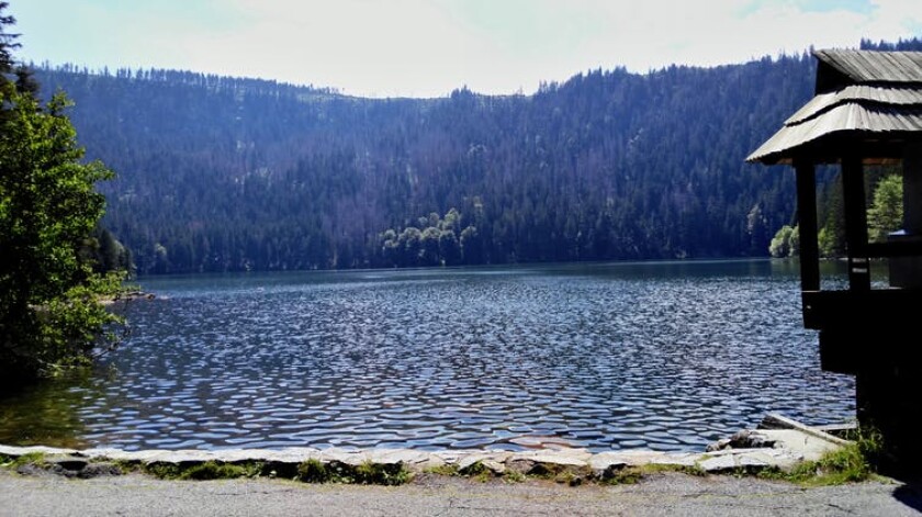 Black Lake in the Czech Republic