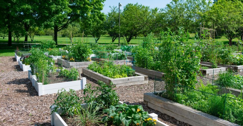 Local Zoning Boards Threaten Fossil Fuel Industry