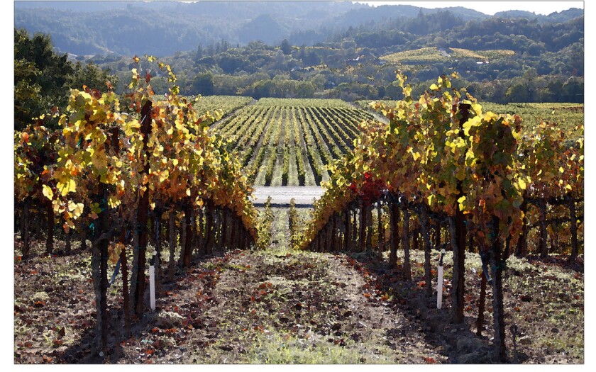 Sonoma+County%2C+Calif.