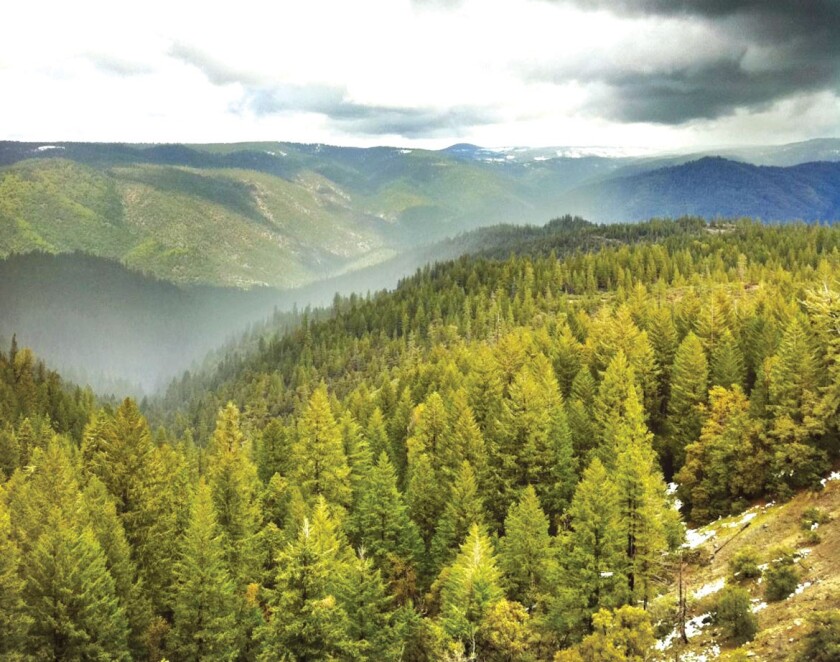Nevada County, California