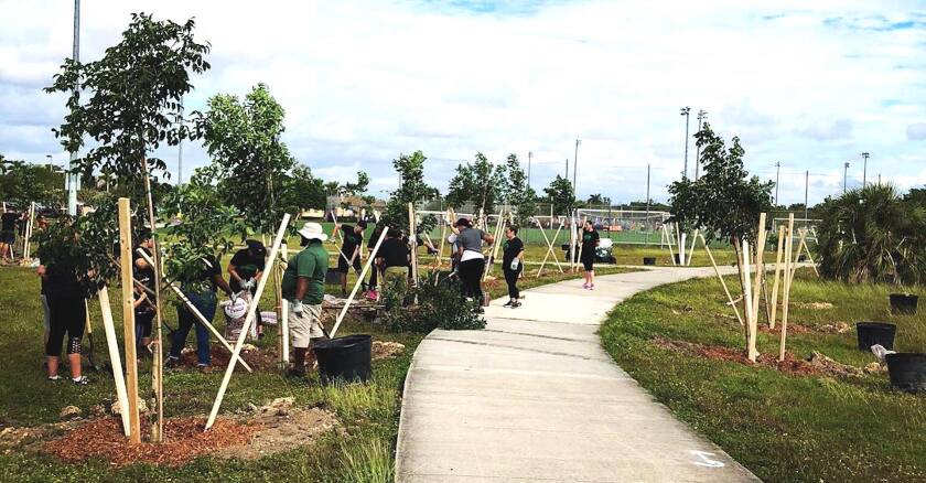 Tree Planting Miami Dade.jpg