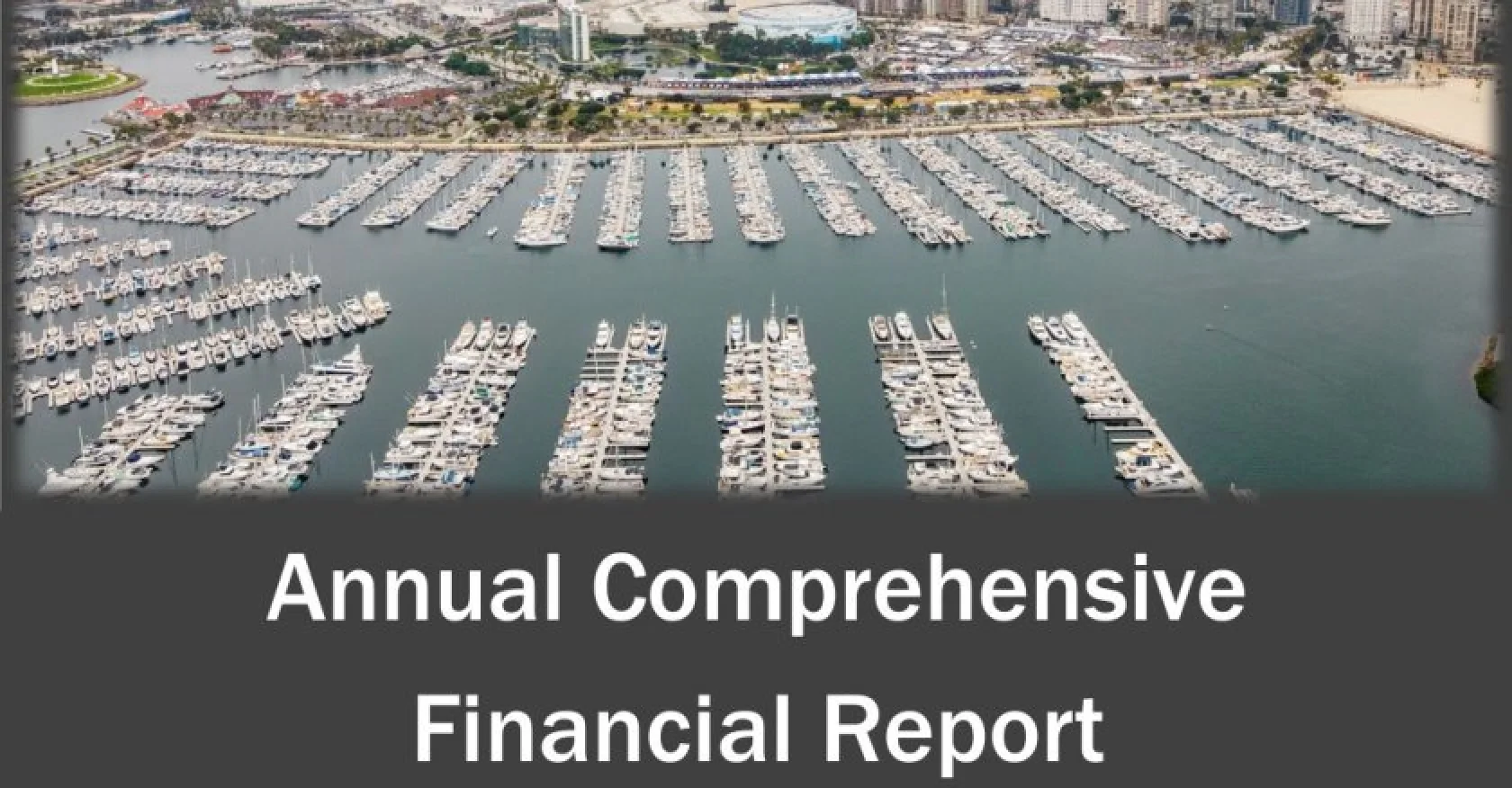 A Chance to Make Government Financial Data Transparent and User-Friendly A Chance to Make Government Financial Data Transparent and User-Friendly