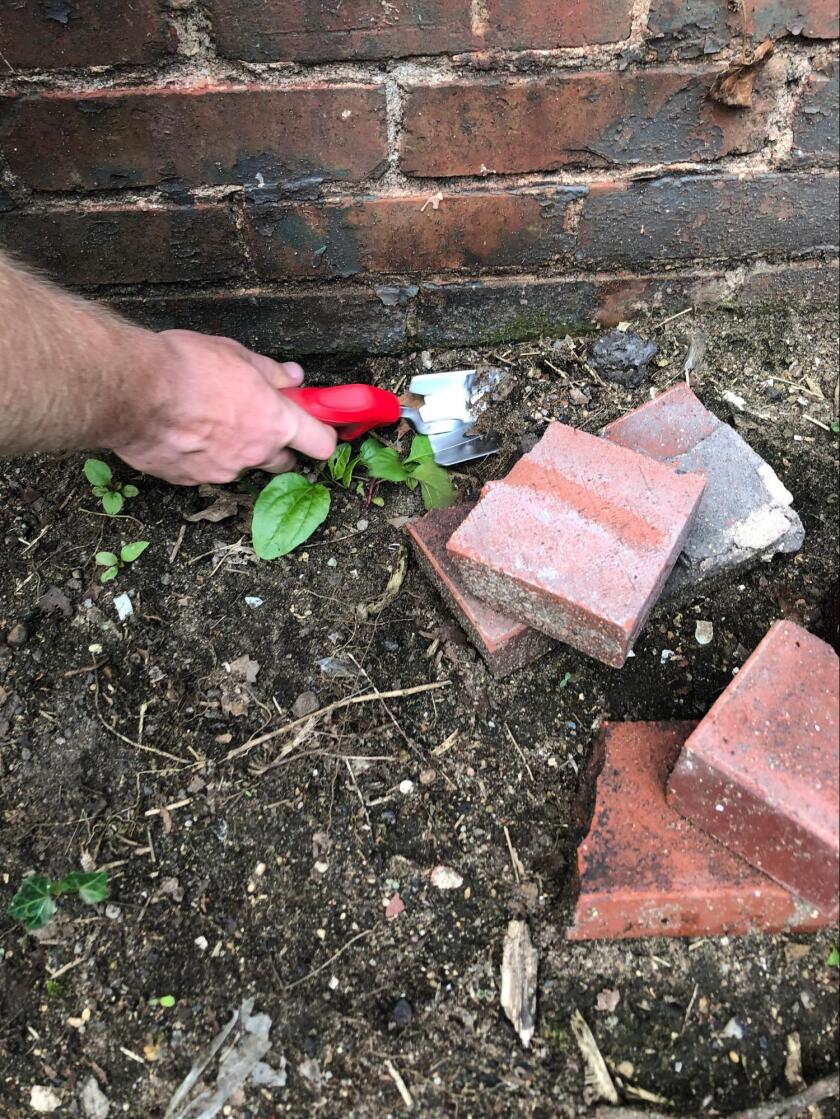 Testing+soil+for+lead+paint