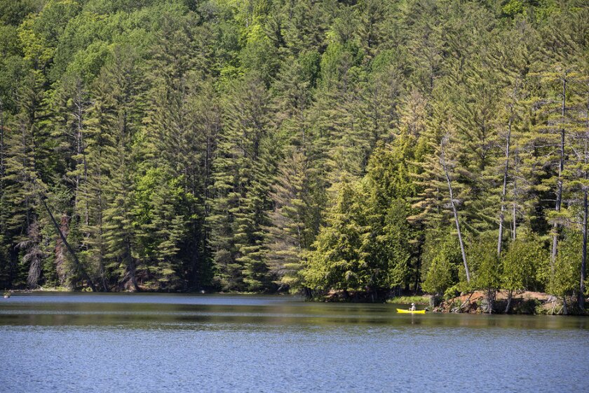 24-1606-adirondacks-423a.jpg