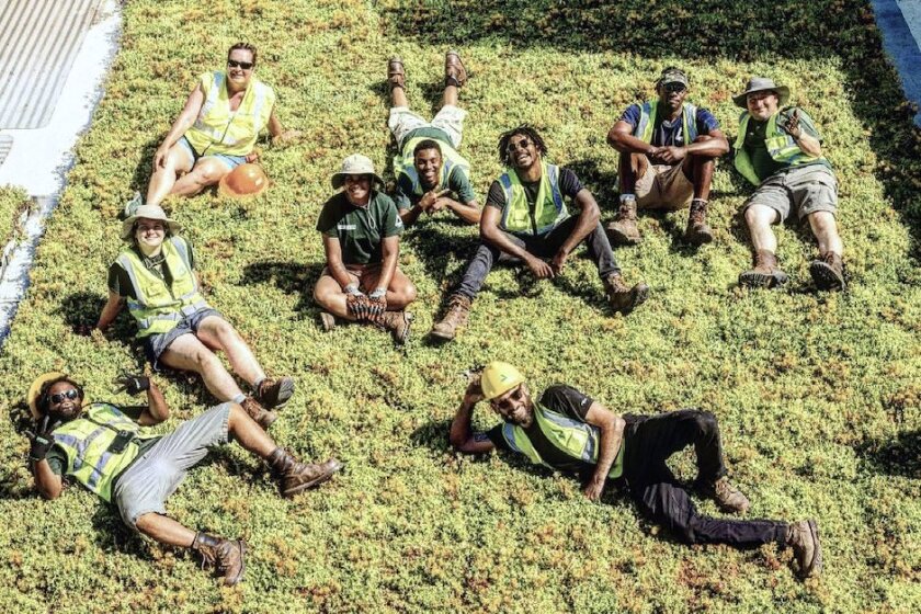 Aerial view of Green Corps members laying on a green rooftop they just installed.