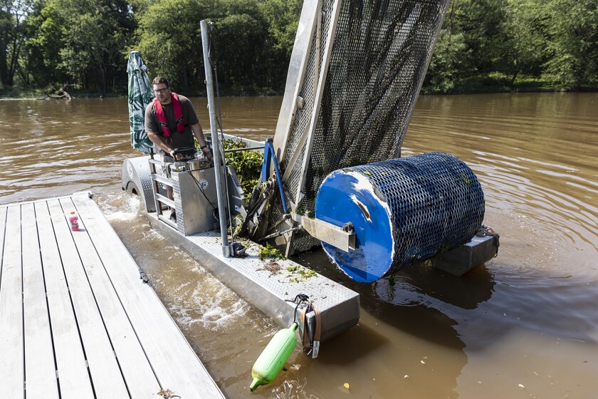 A mechanical harvester being returned to a dock in the Esopus Creek.