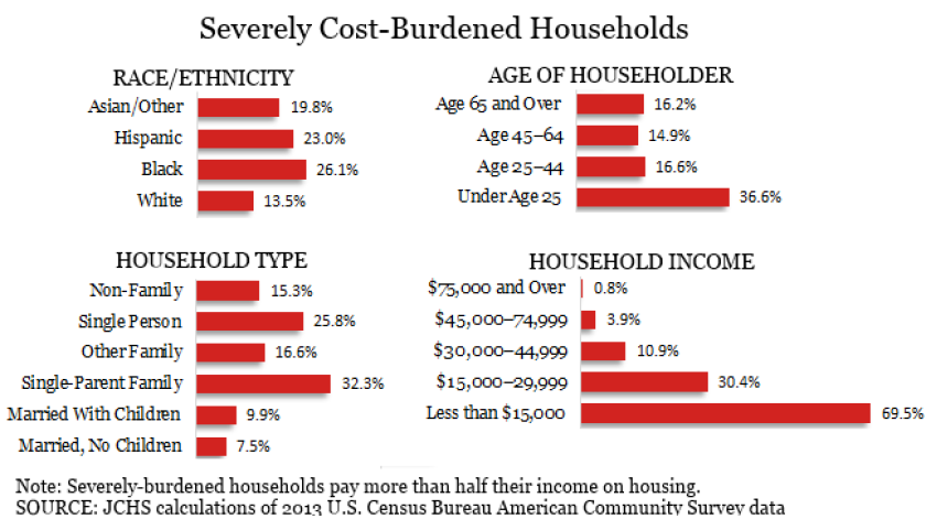 cost-burden-demographics3.png