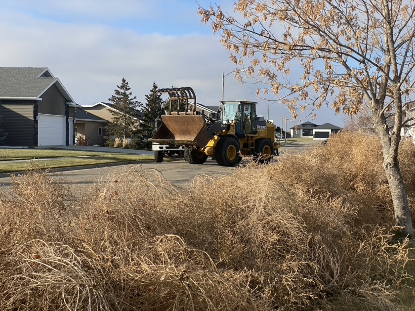 Great Falls neighborhood overwhelmed by tumbleweeds