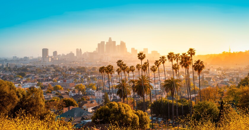 The Los Angeles skyline at sunset with a cluster of palm trees in the foreground.
