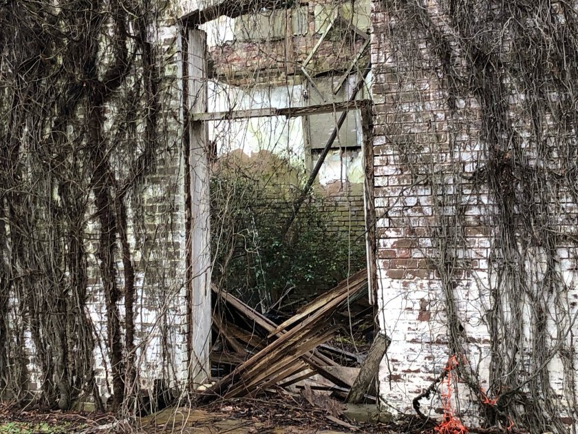 The Bryant store in Money, Miss.