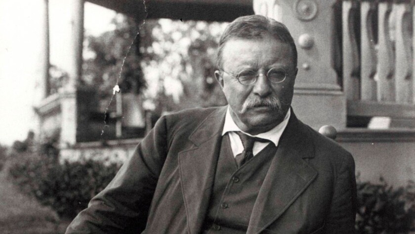 Black and white image of Teddy Roosevelt.