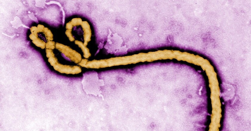 Ebola