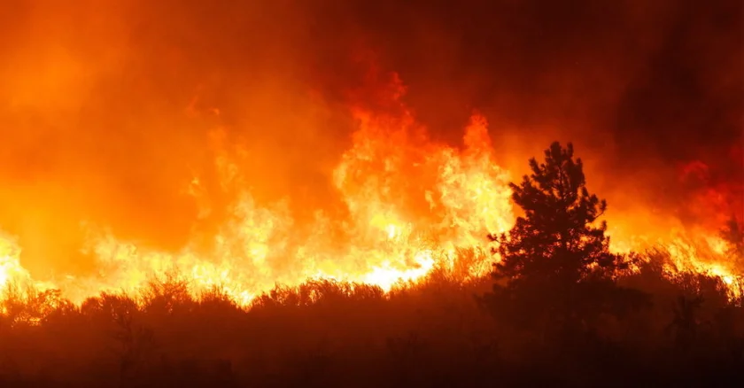 97% of Colorado Facing Drought, Increased Wildfire Risk