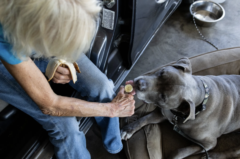 Susan Peterson feeds her dog