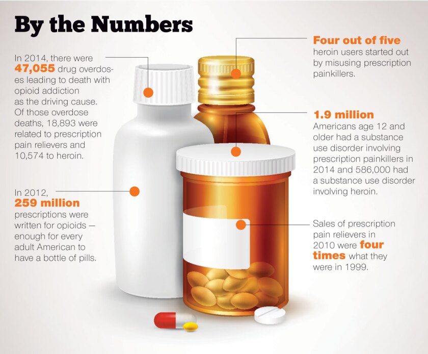 By+the+numbers