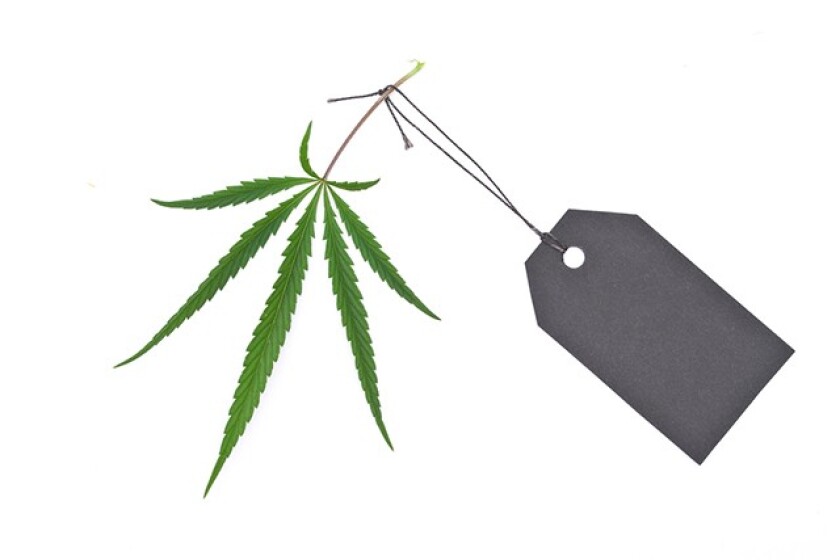 trace-leaf.jpg
