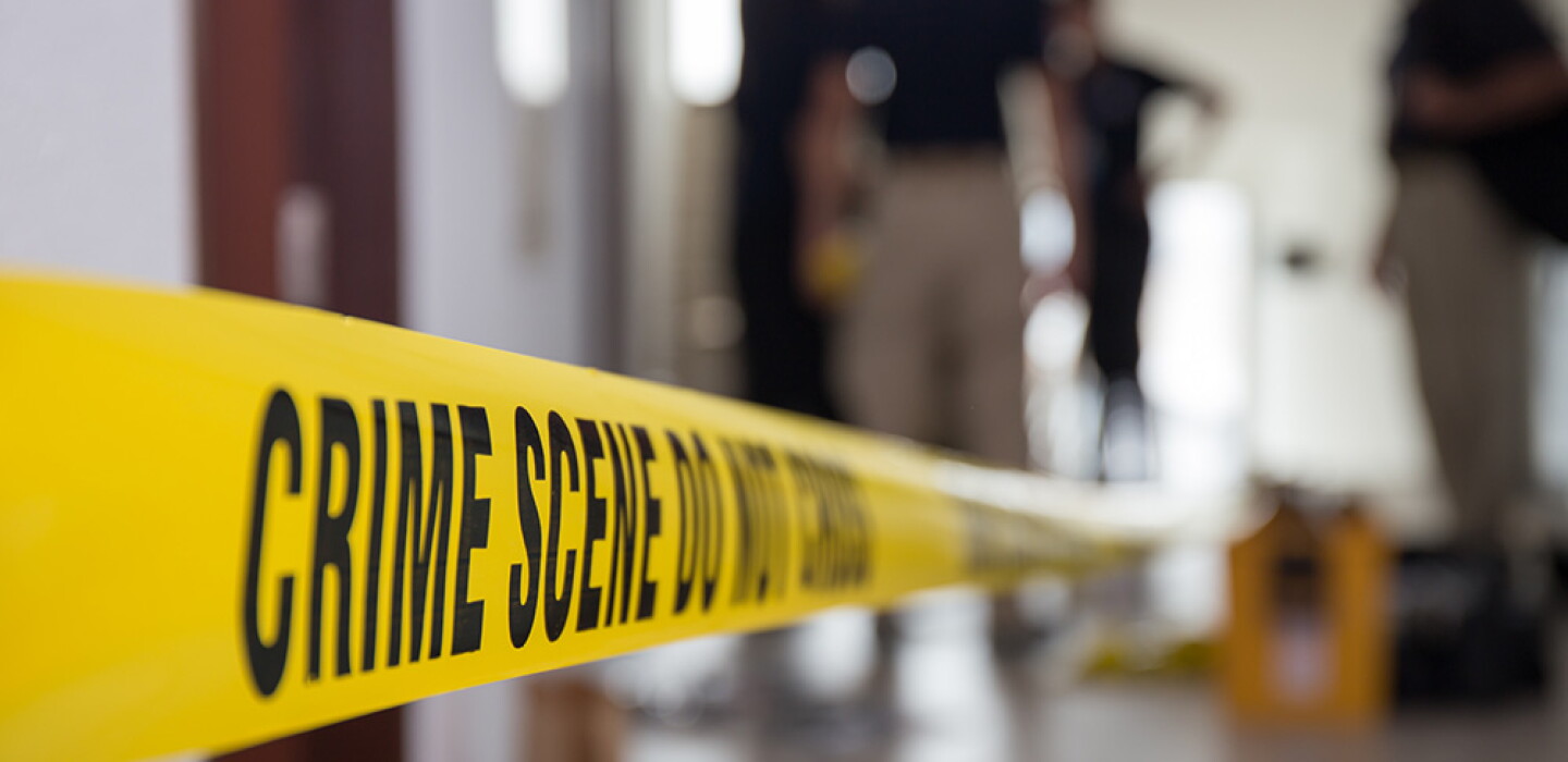 Who Gets Credit for the Drop in Crime? Whoever Claims It.