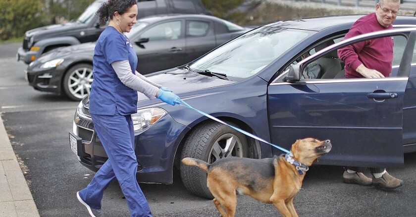 US-NEWS-PETS-GO-CURBSIDE-FOR-CARE-PAL.jpg