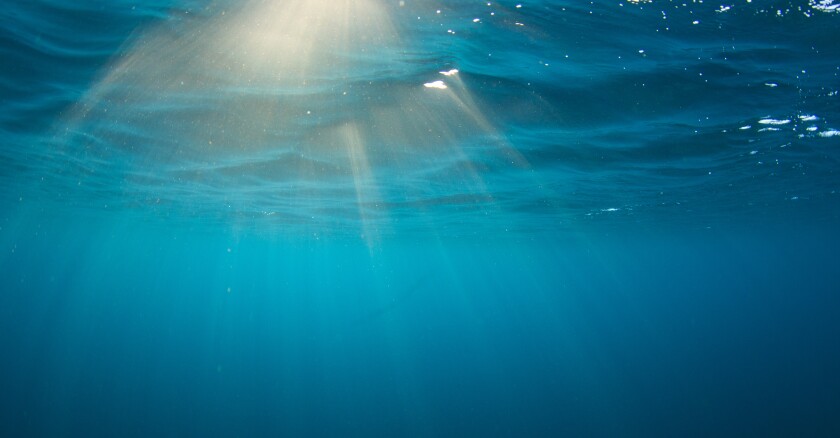 Sun rays underwater.