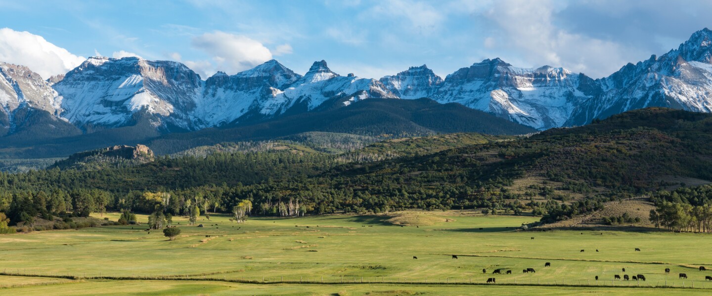 Cattle,Ranch,Below,The,Dallas,Divide,Mountains,In,Southwest,Colorado