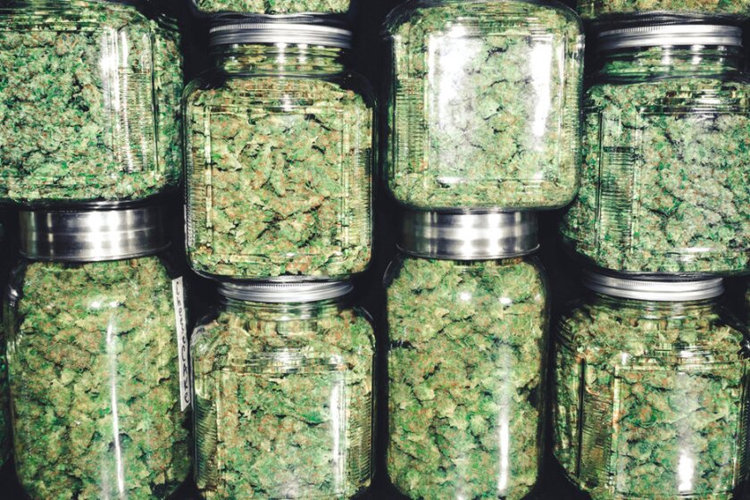 cannabis.jpg