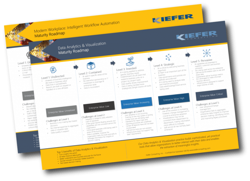 Image of a Kiefer Proprietary Maturity Roadmap