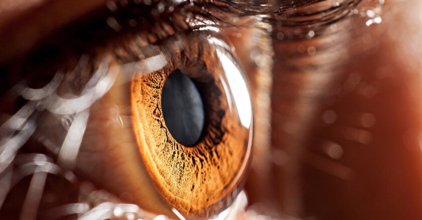 Closeup of a human eye.