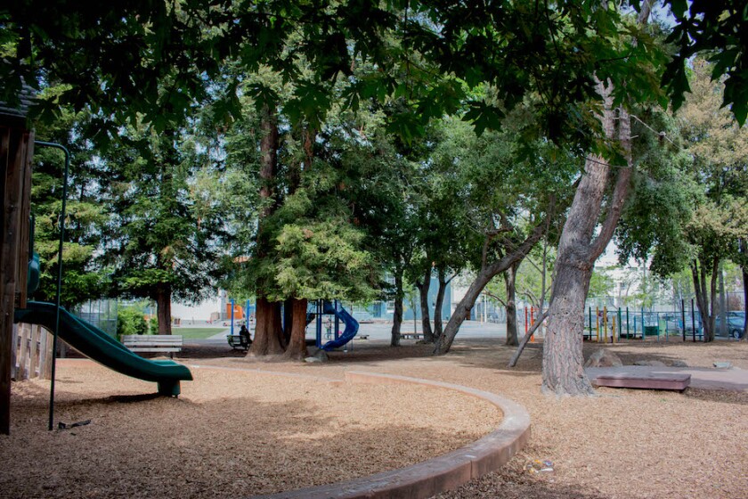 Berkeley-Forest_GSA-SDanks.jpg