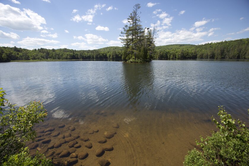 08-1606-adirondacks-419a.jpg