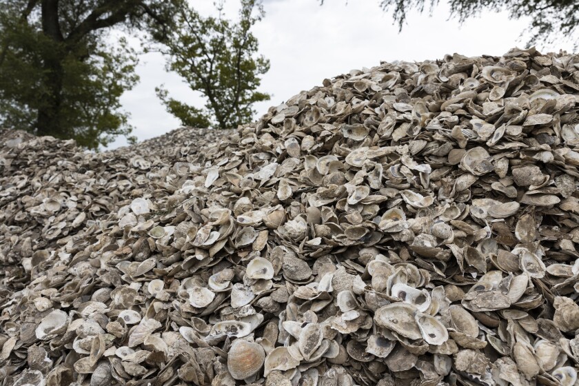 06 Billion Oyster Project 167.jpg