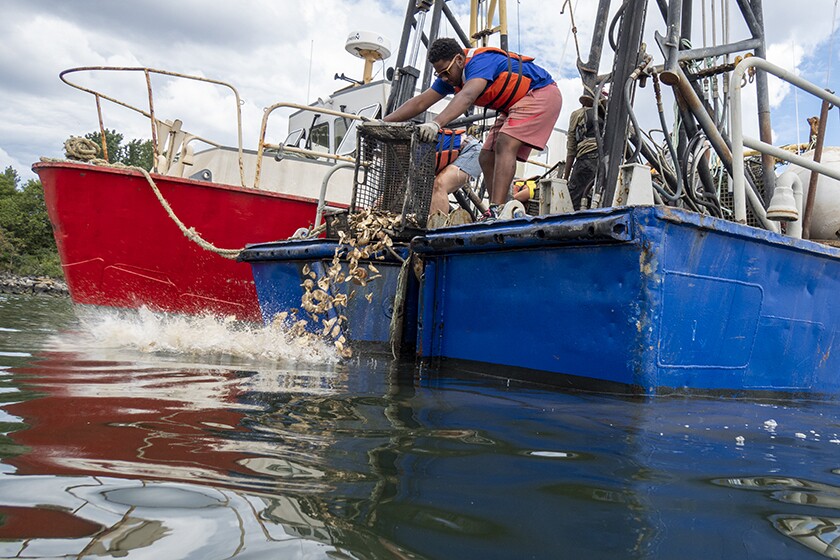 2208_Billion Oyster Project 414 NEW.jpg
