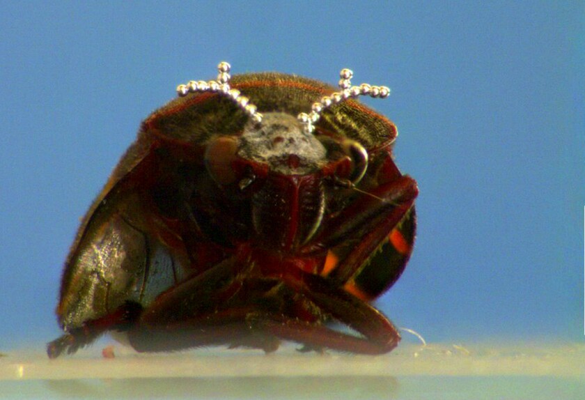 3-D Liquid Metal Printing