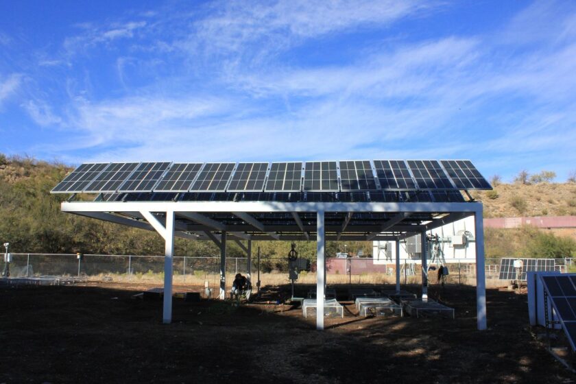 solar+panels+provide+shade+for+crops