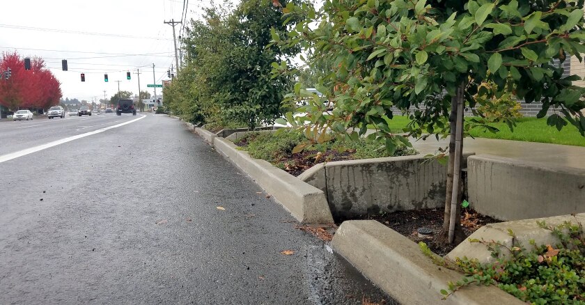 Gresham Tree Wells.jpg
