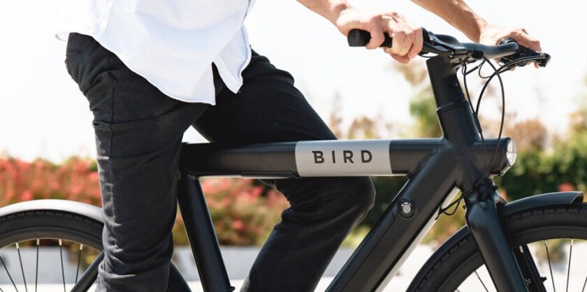 person riding a Bird e-bike
