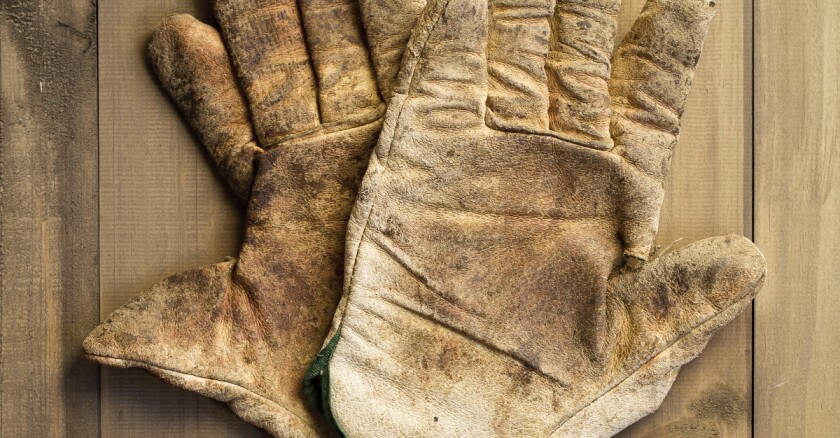 gloves, dirty jobs