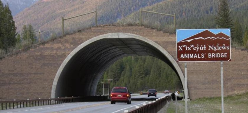 A wildlife overpass in Montana.