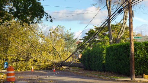 Fallen powerline