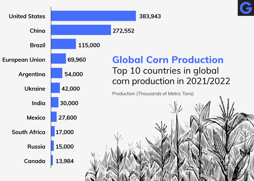 A bar graph showing global corn production by country.