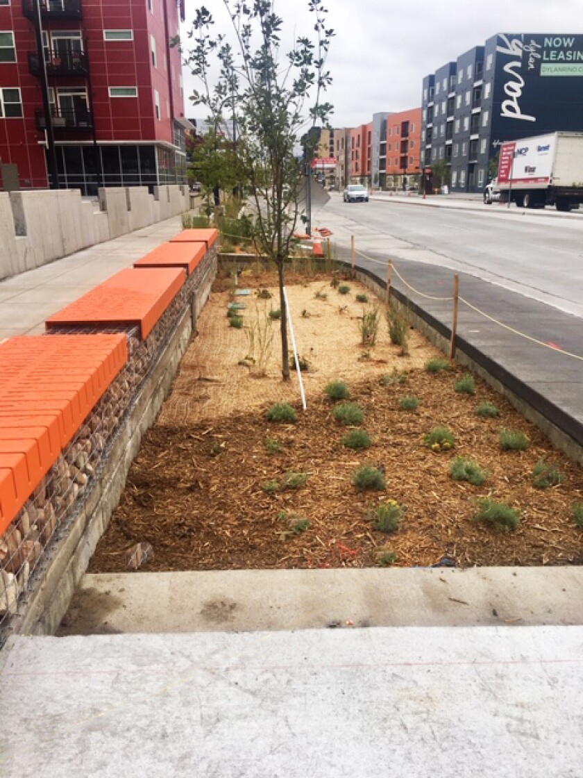 Street+side+stormwater+planters+along+roadways+on+Brighton+Boulevard+in+Denver+Colorado