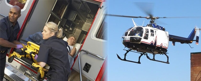 emsa-cropped.jpg