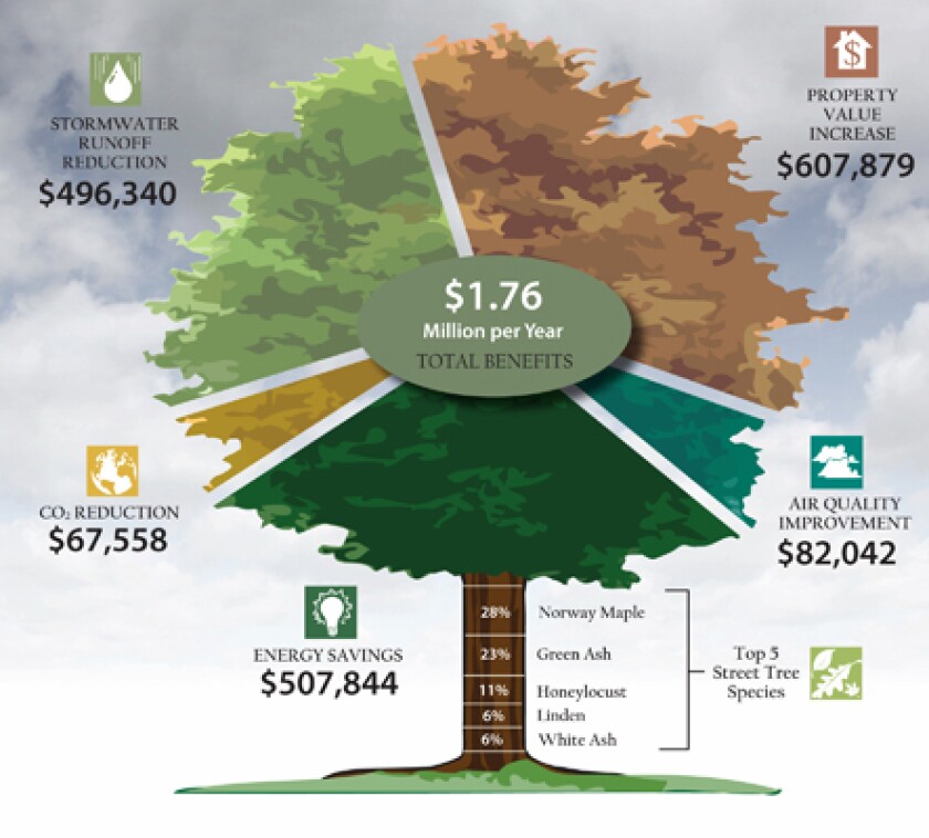 tree-chart.jpg