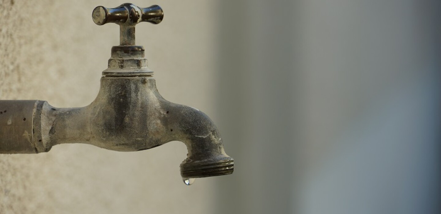 How AI and an Irish 'Dog' Could Help Water Management - Vimarsana News